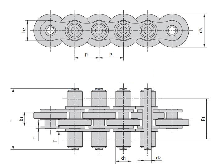 Conveyor Chains with Special Rollers