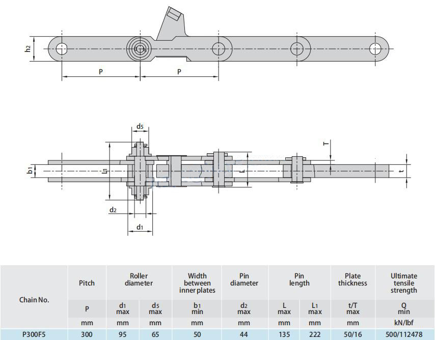 P300F5 Conveyor Chains