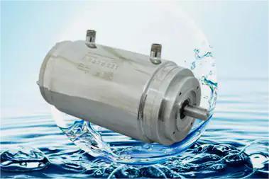 Motor With Double Capacitor