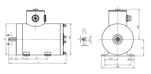 Stainless Steel Motor B3 Foot Mounted-TENV