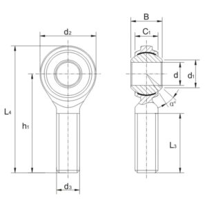 Rod Ends Bearing SA PK