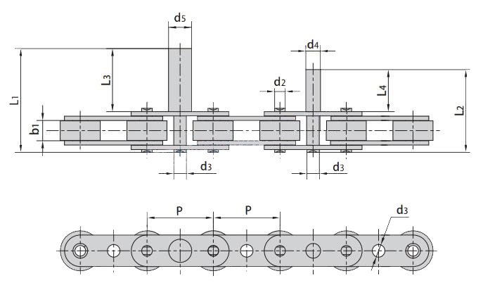 Conveyor Chains with Extended Pins C2052F1