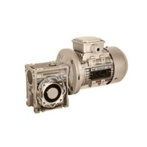 RV WORM GEAR REDUCER Factory