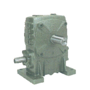 AY Series Worm Gear Reducer