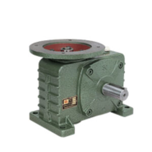 DZ Series Worm Gear Reducer