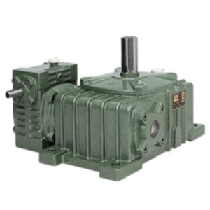 EO Series Double Worm Gear Reducer