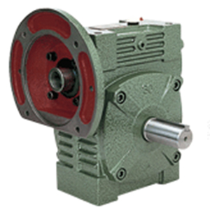 WD Series Worm Gear Reducer FCWD