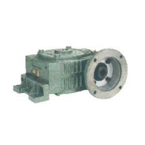 WDKOY Series Worm Gear Reducer