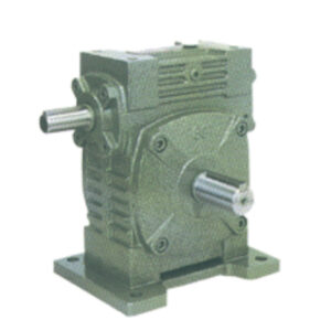 WY Series Worm Gear Reducer