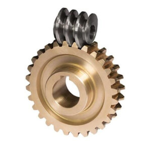 Brass Worm Wheel