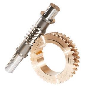 Customized Worm Gear Set