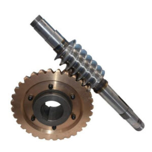 Cylindrical Worm Wheel