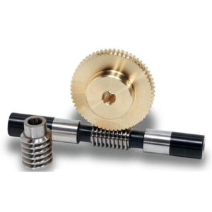Duplex Worms Gear