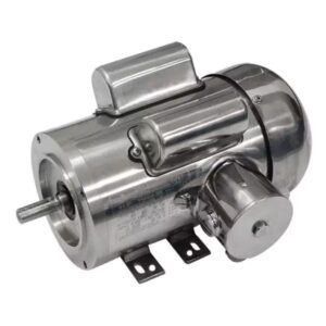 Motor With Double Capacitor