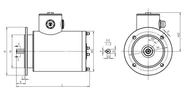 TENV Flange Mounted Motor drawing