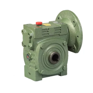 WPWDKS Series Worm Gearbox