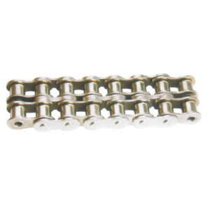 B series double strand stainless steel short pitch precision roller chains